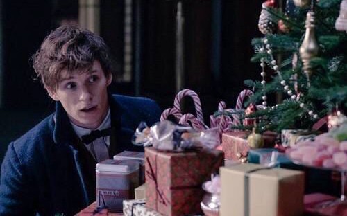 Merry Christmas (Newt Scamander X Reader) | Big Book of One-Shots (Girls Only)