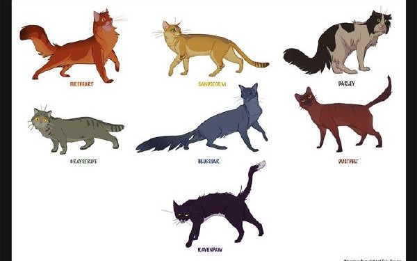 What Is My Warrior Cat Pelt Color