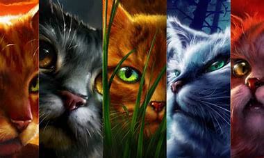 How Well Do You Know Warrior Cats? - Test | Quotev