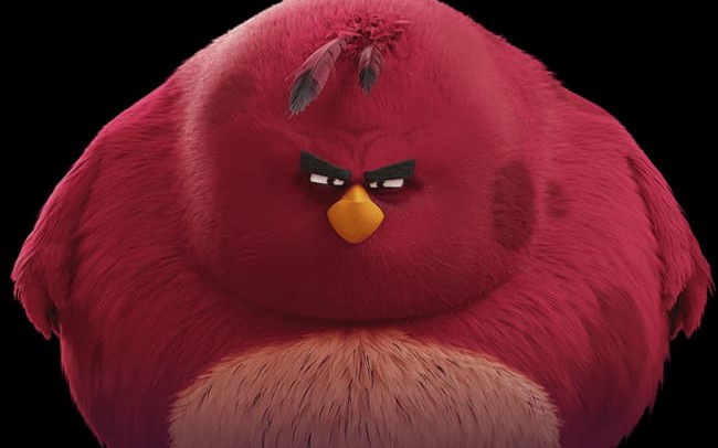 what angry bird are you