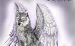 Angel Wolf | What animal Walks by your side? - Quiz | Quotev