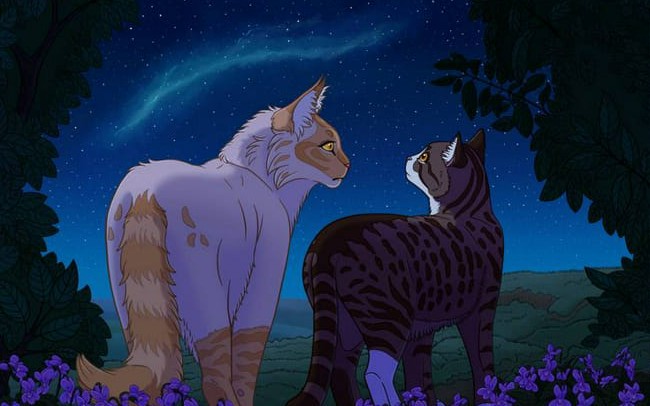 Ship Warrior Cats - Quiz | Quotev