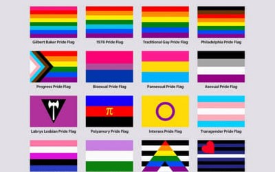 Lgbtq Flags - Test | Quotev