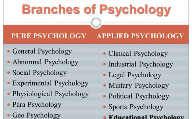 Psychology Branches Test Quotev   1695871761