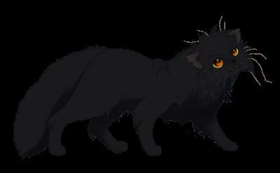 Why Yellowfang let ASHFUR in StarClan (Warrior Cats) 