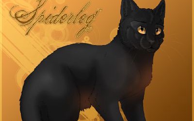 spiderleg warrior cats